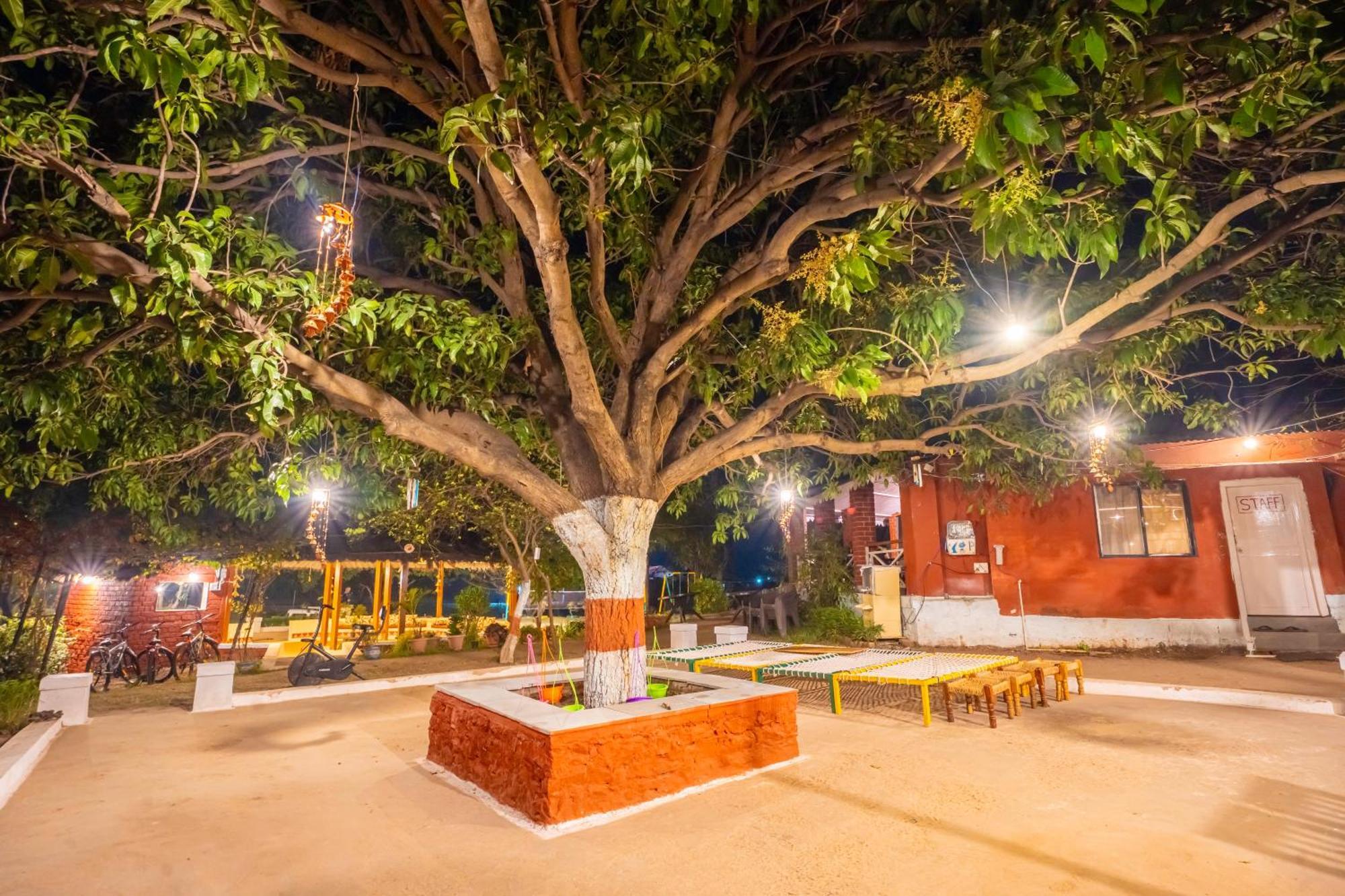 Wow Stayz2 Pachmarhi Foothill Cottages Zewnętrze zdjęcie